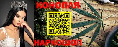 трава Заводоуковск