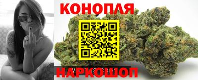 трава Заводоуковск