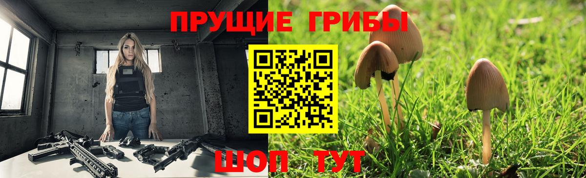 Галлюциногенные грибы Psilocybe  Вход с VPN  Луховицы 