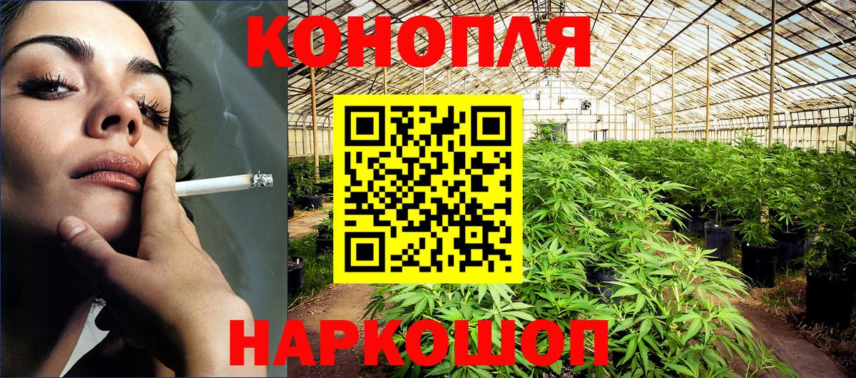 Каннабис планчик Луховицы